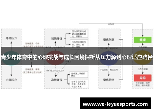 青少年体育中的心理挑战与成长困境探析从压力源到心理适应路径
